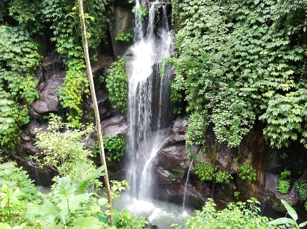Air Terjun Dedari