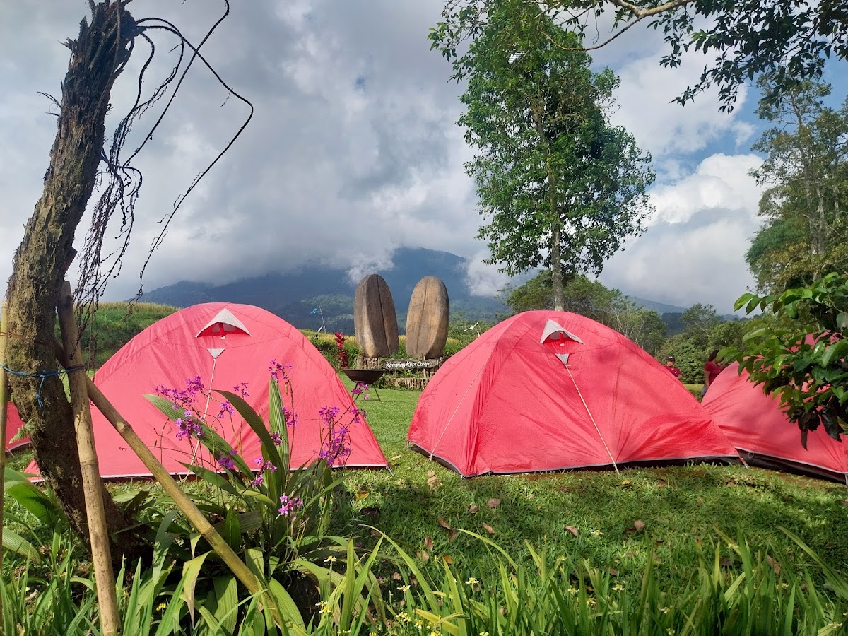 BPC Outbound