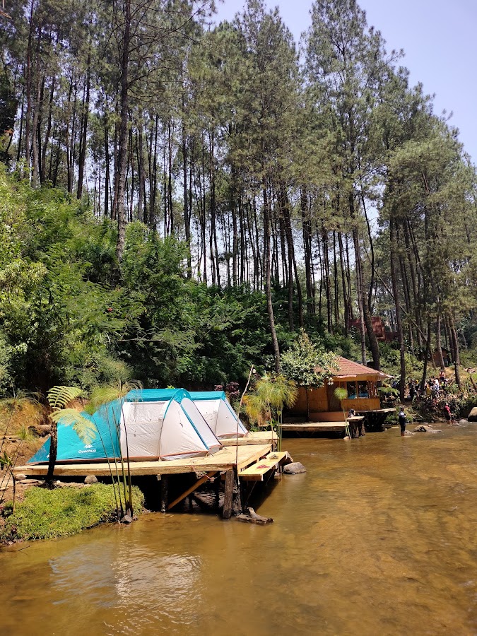 Alam Singkur
