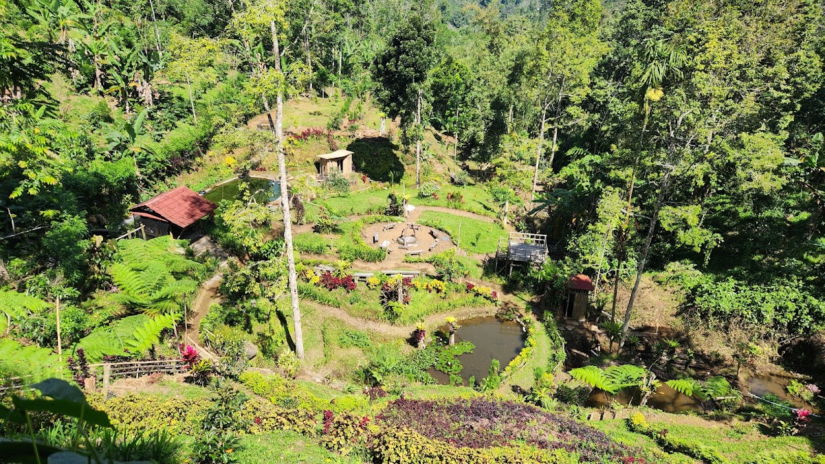 Taman Cinta Hidden Camp