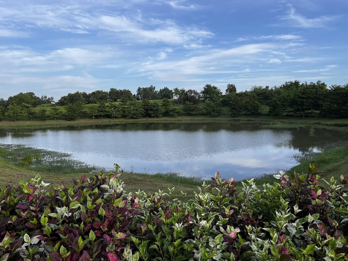 Danau Deltamas - Cikarang Bekasi