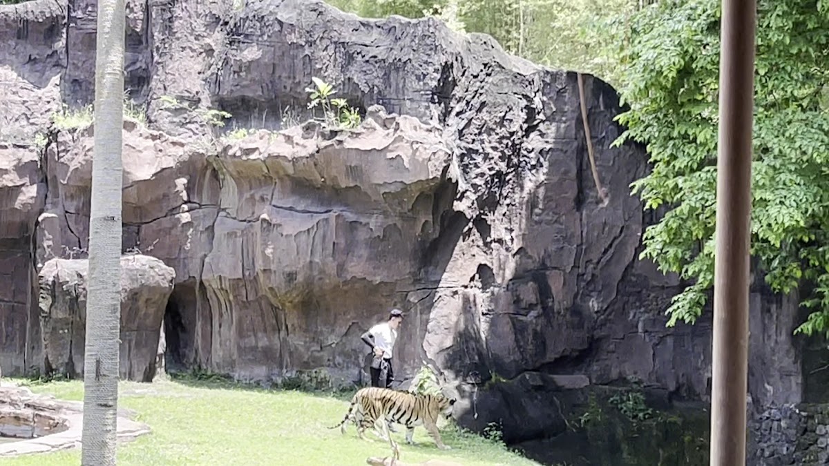 The Amazing Taman Safari Bali