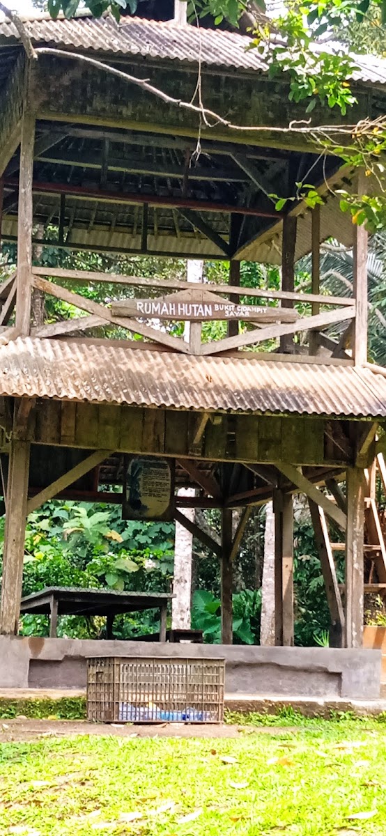 RUMAH HUTAN CIDAMPIT