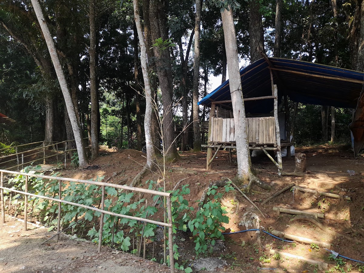 Taman Pinus Graha Raya