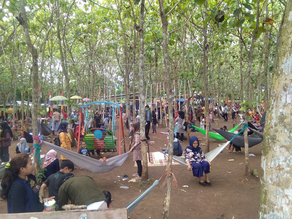 Hutan Jati Raya Sindang Asih