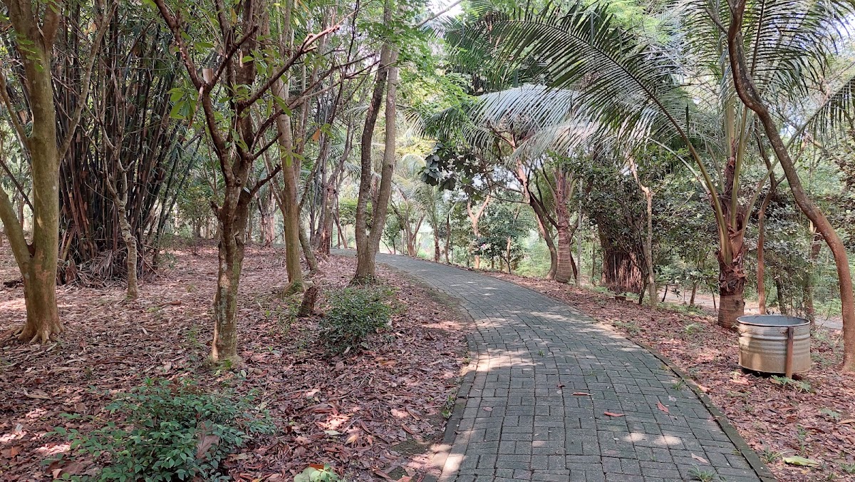 Hutan Kota Serang