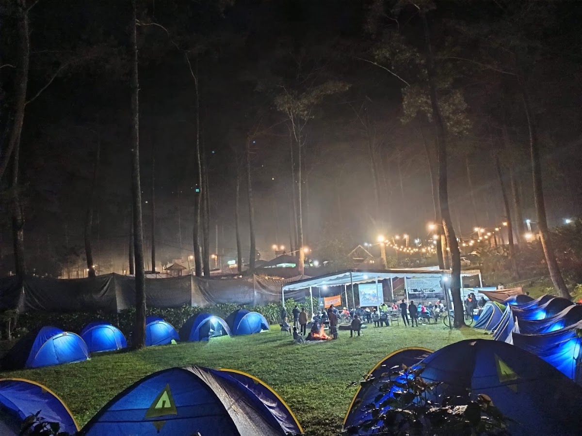 cozyland camping ground & campervan