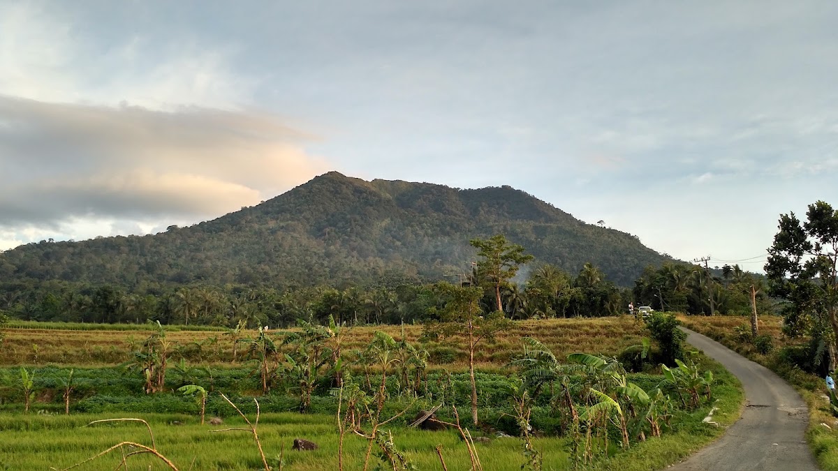 Gn. Pulosari