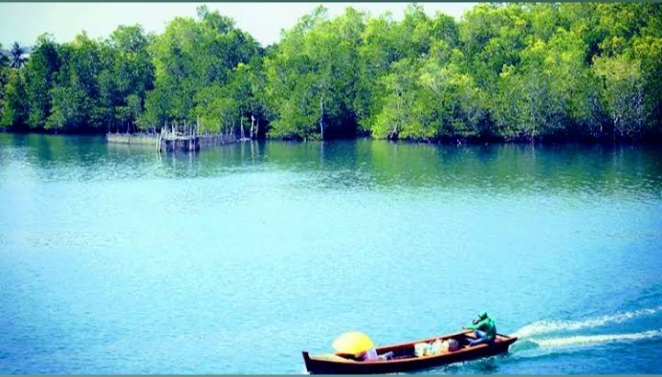 Wisata Hutan mangrove pulaubaai