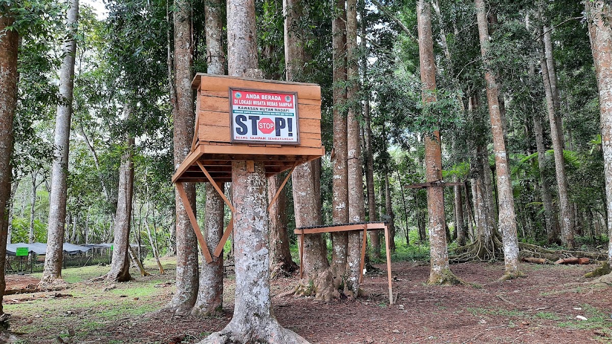 Hutan Madapi