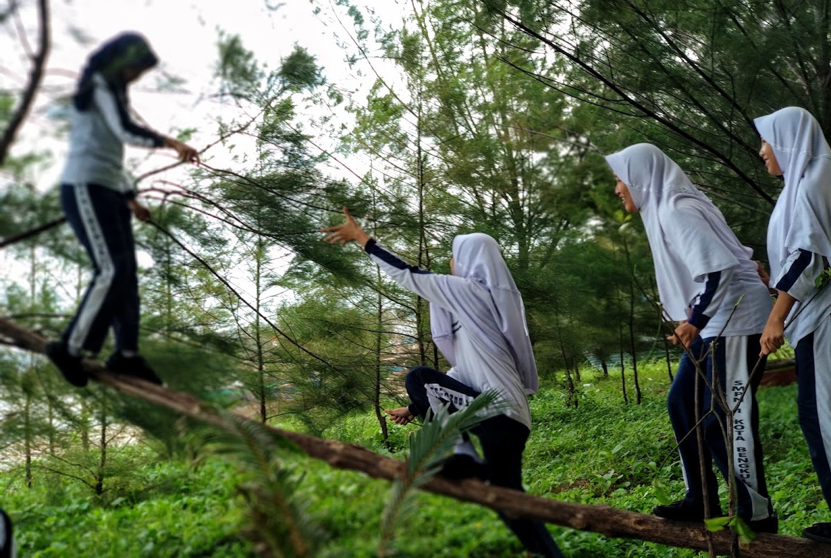 Hutan Madapi