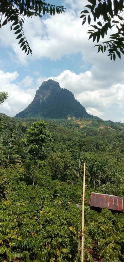 Air Terjun Curug Teluntung