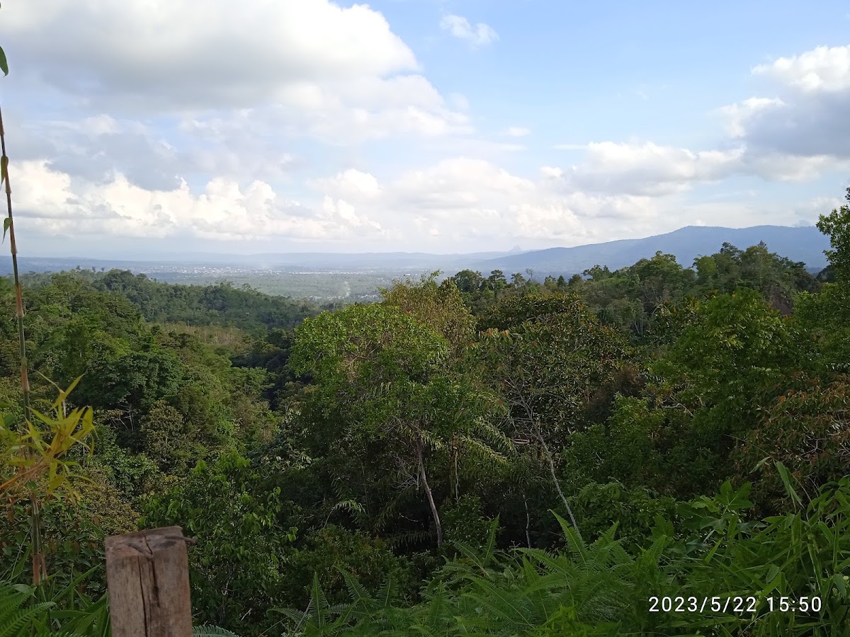 BUKIT KEMOND