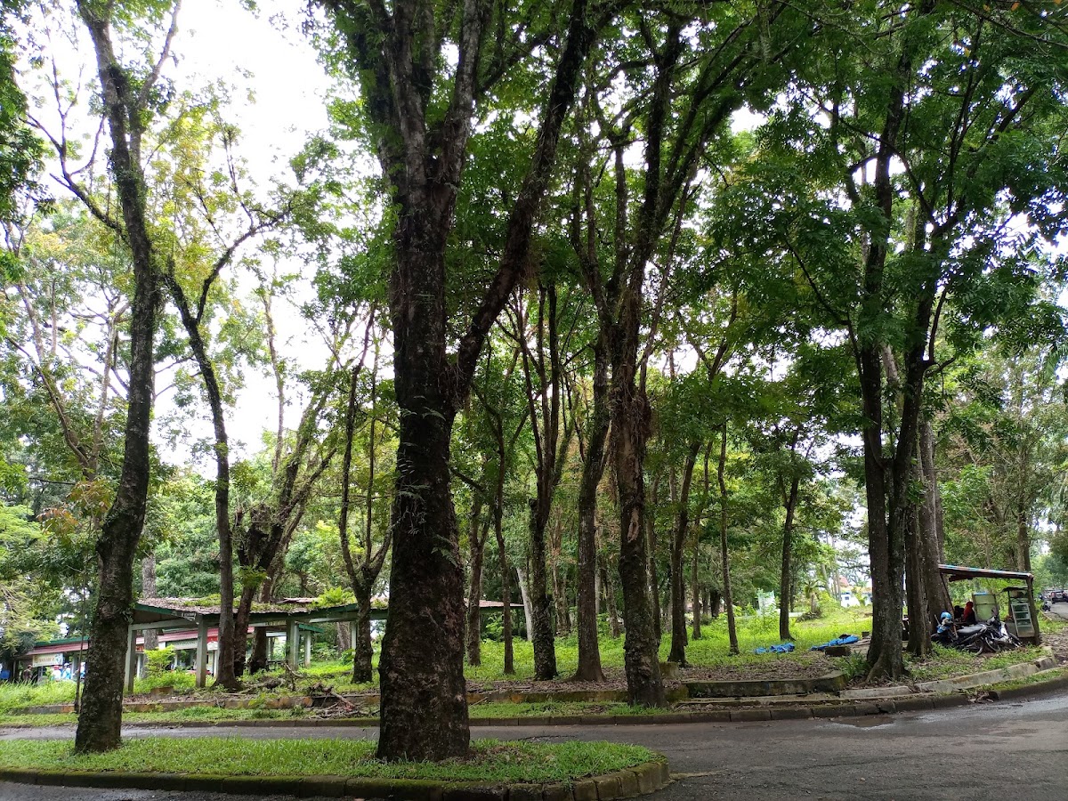 Taman Remaja Bengkulu