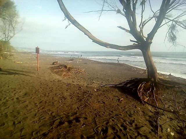 Camping Ground Pantai Pandansari
