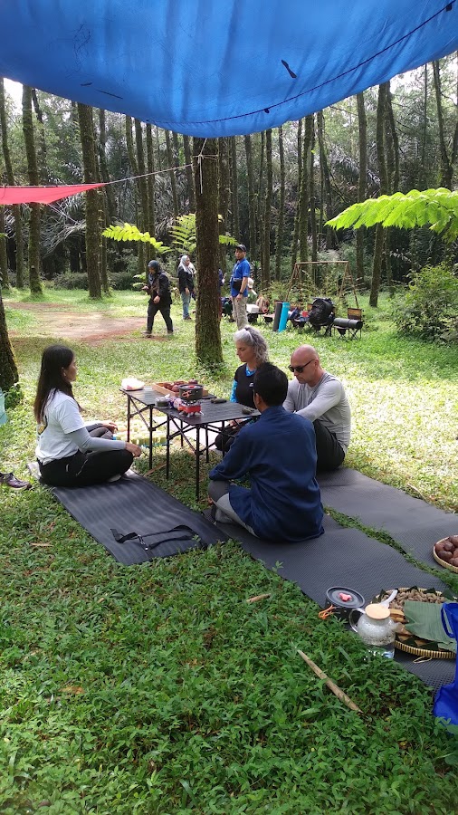 Hutan pinus Gumuk ijo