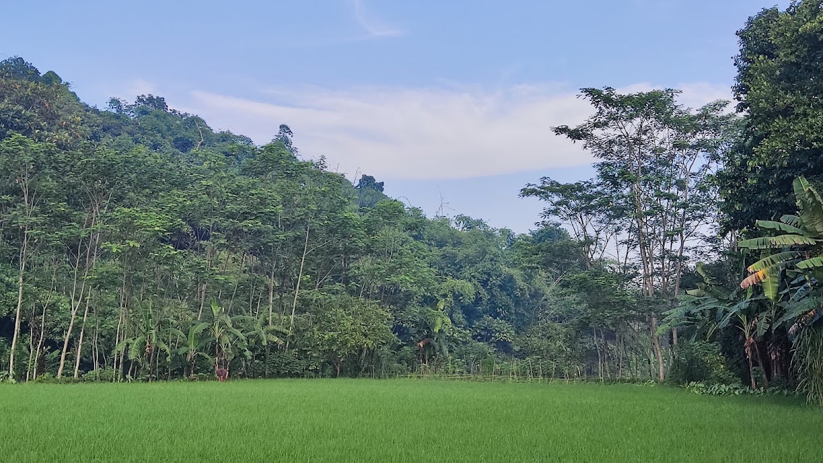 Gunung Ampon