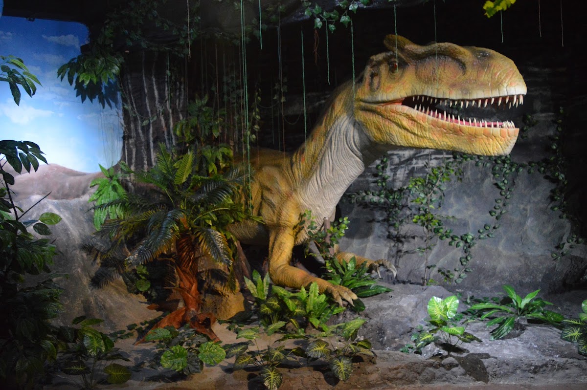 DINO Adventure
