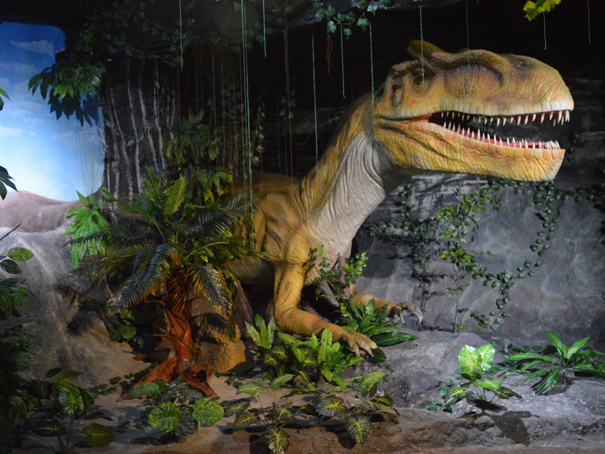 DINO Adventure