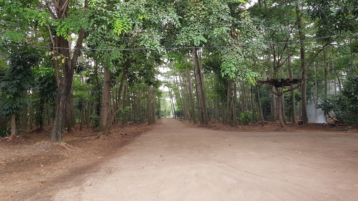 Hutan Kota Kembangan