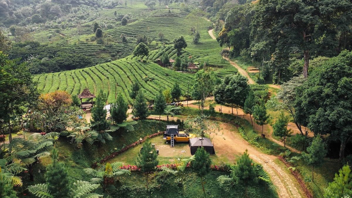 Pinus Eco Park Camping Ground