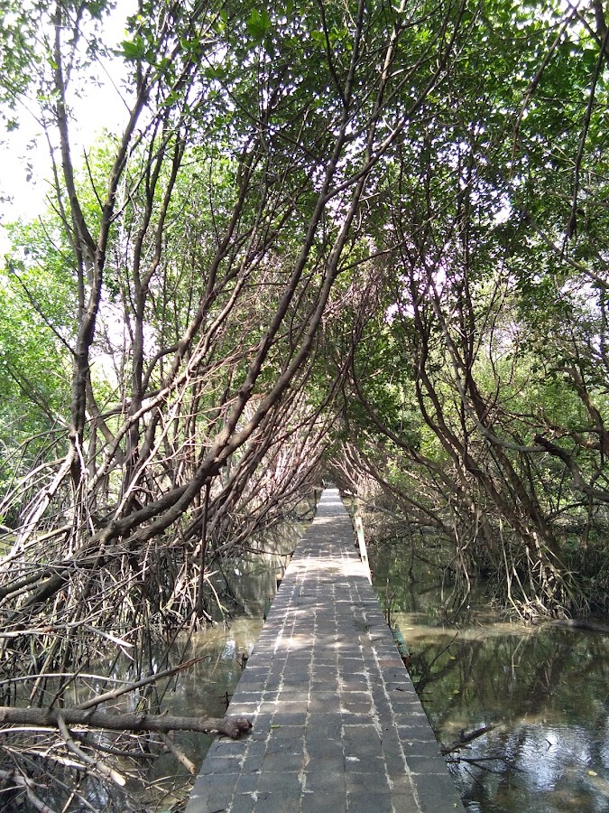 Pos 3 Hutan Lindung Angke Kapuk