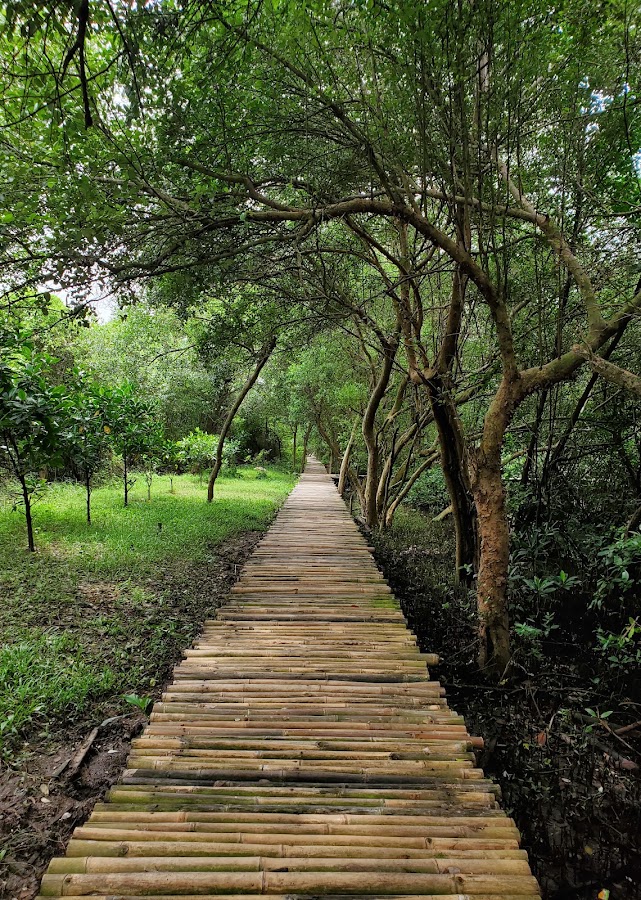 Kawasan Ekowisata Mangrove PIK