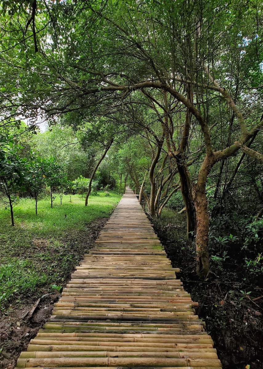 Kawasan Ekowisata Mangrove PIK