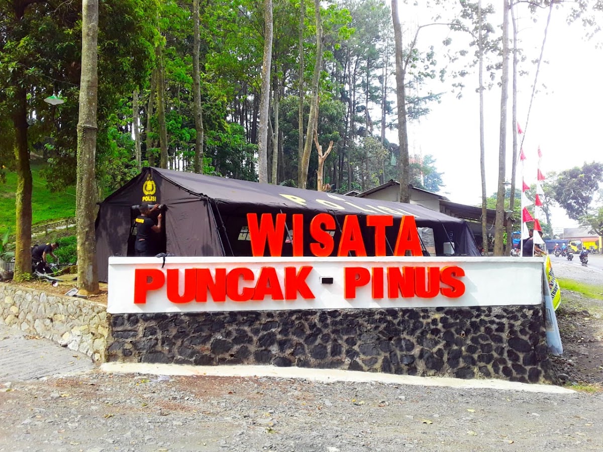 Wisata Puncak Pinus Cikalong-kulon cianjur