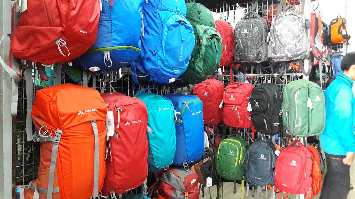 Kutu Gunung Indonesia