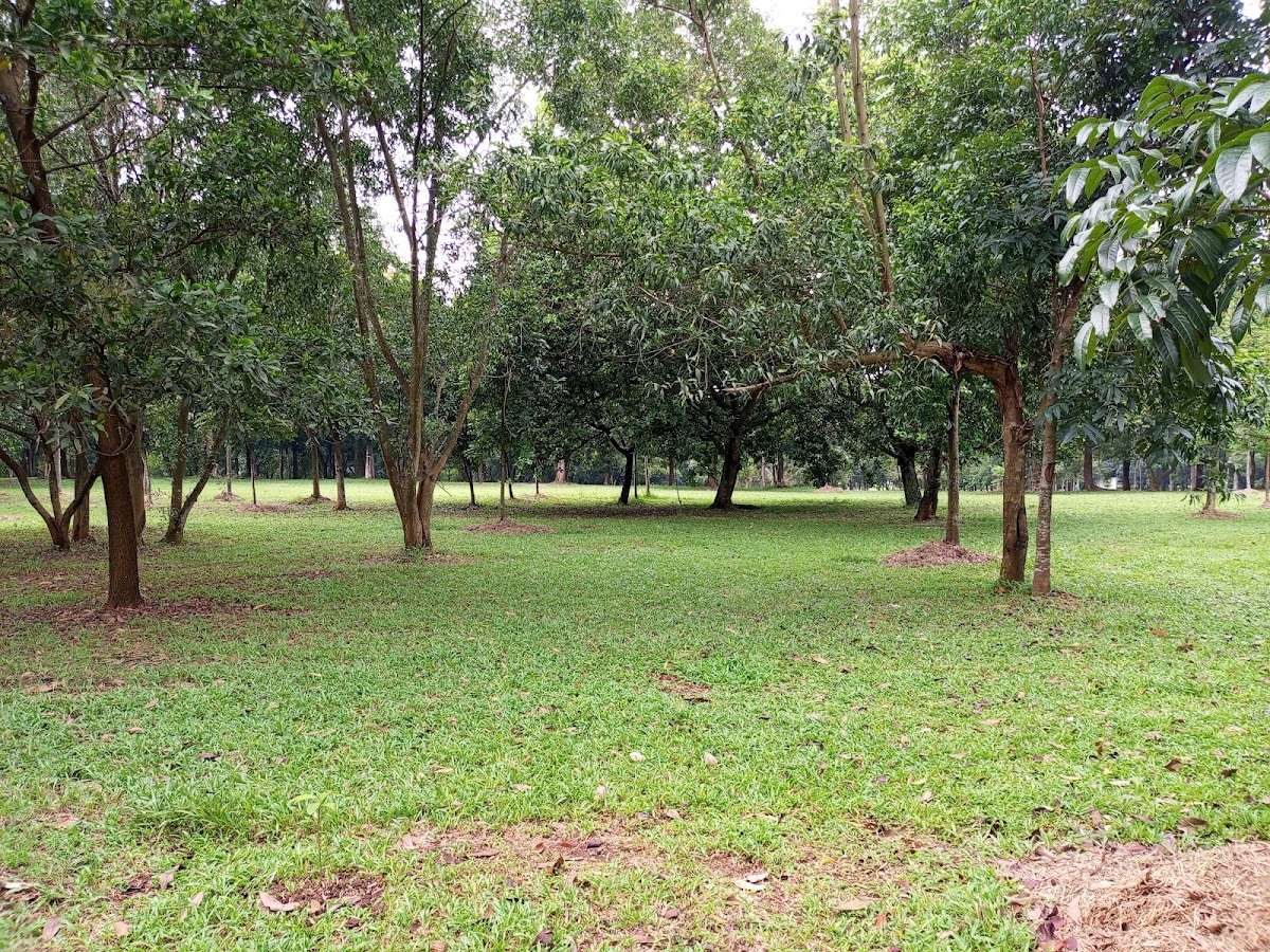 Outbound Jambore Cibubur "SOA" Solution Outdoor Activity