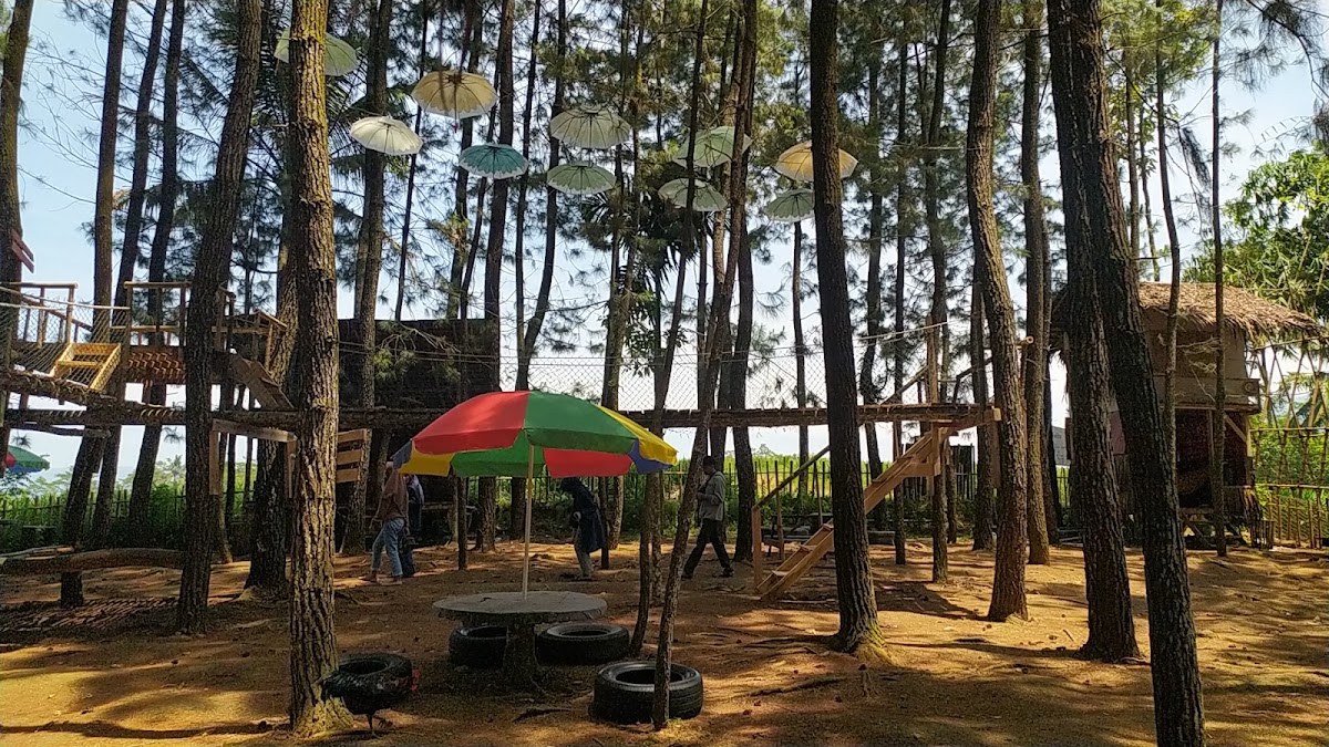 BUKIT PINUS CIMANGGU