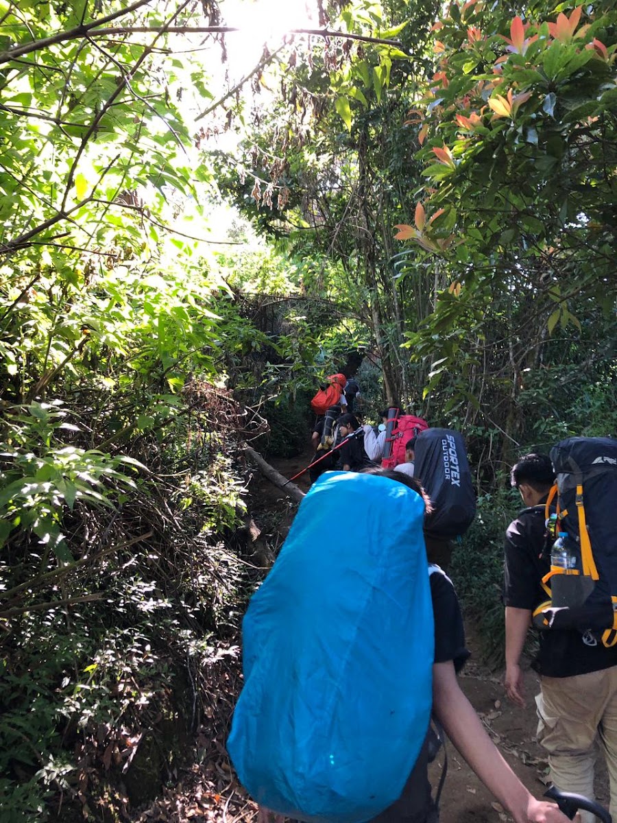 Kedoya Adventure