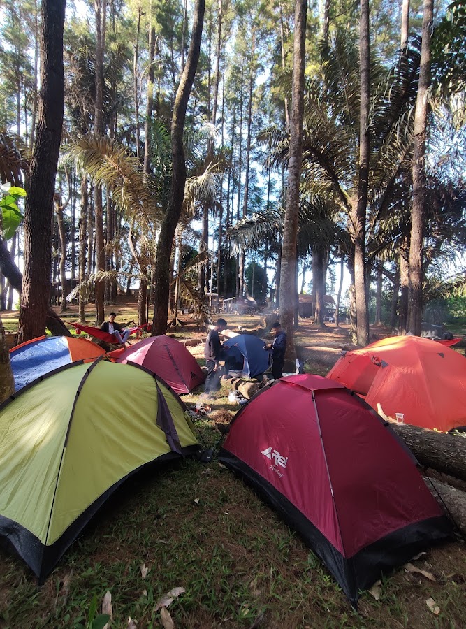 D' Pinos Cottage Wisata Hutan Pinus Gorontalo