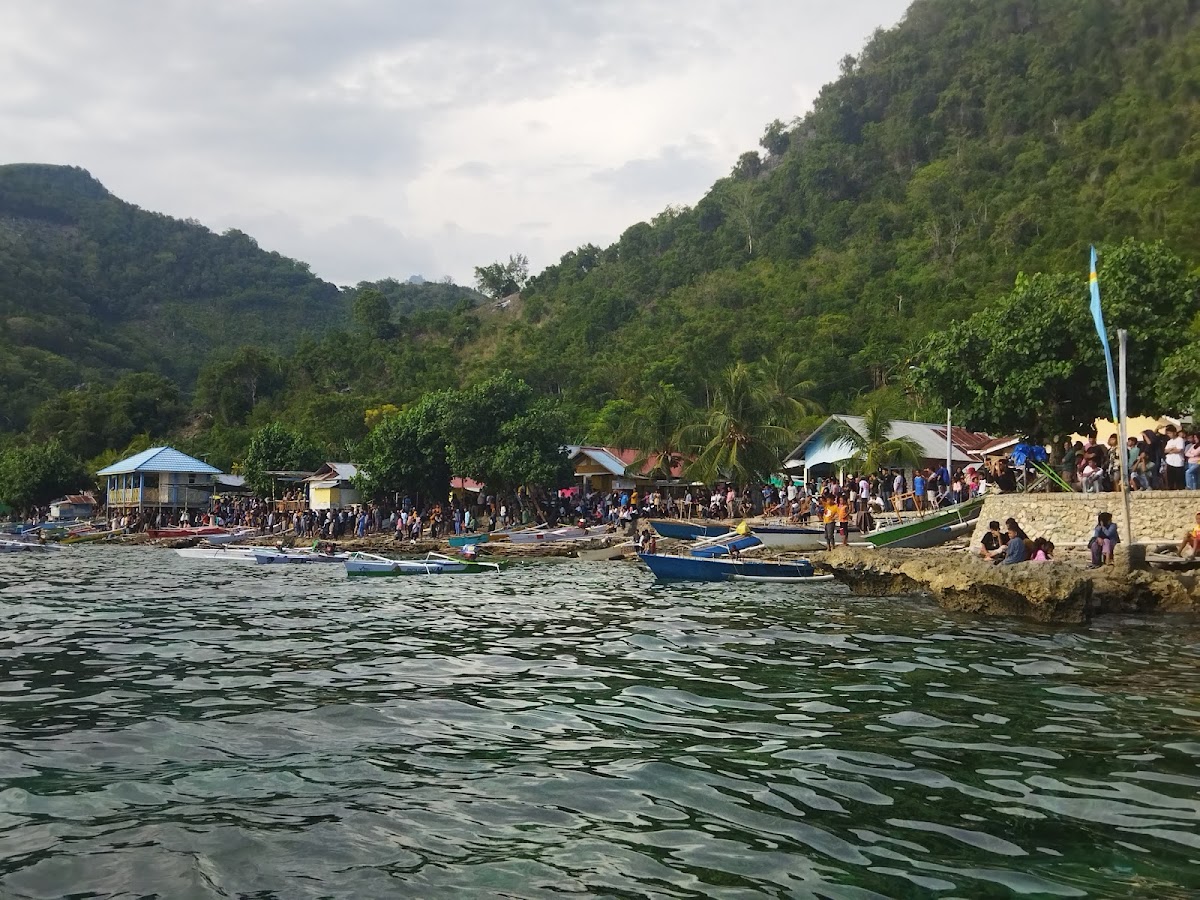 Taman Laut Olele