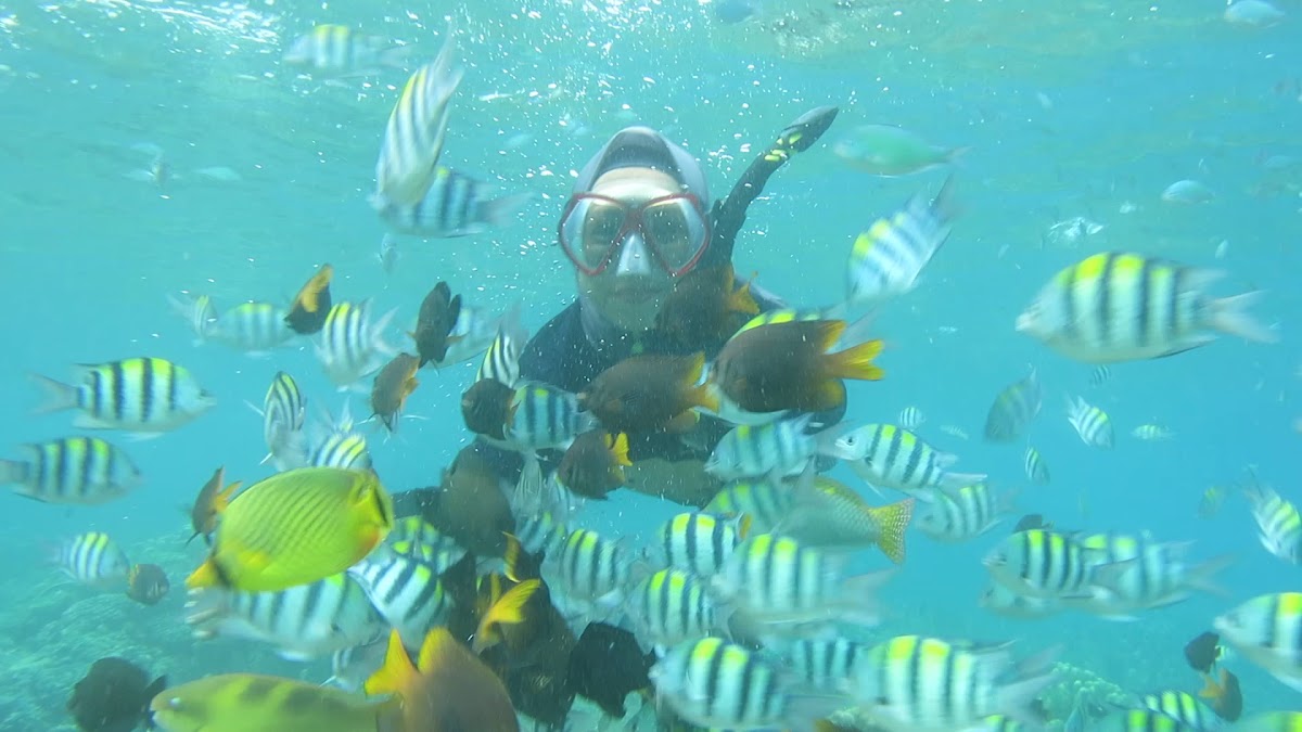 Taman Laut Olele