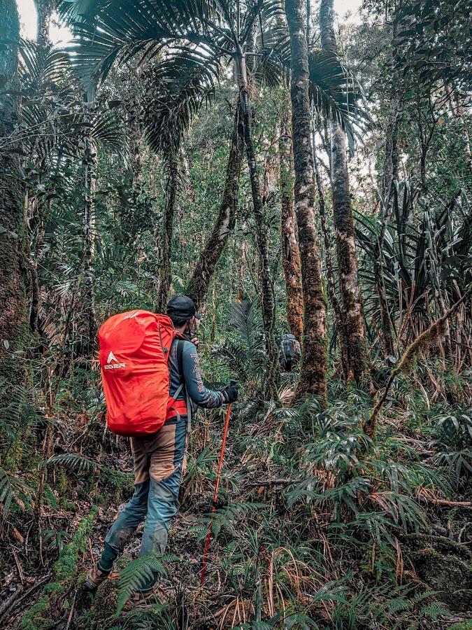 Puncak Ile Ile Pegunungan Boliyohuto
