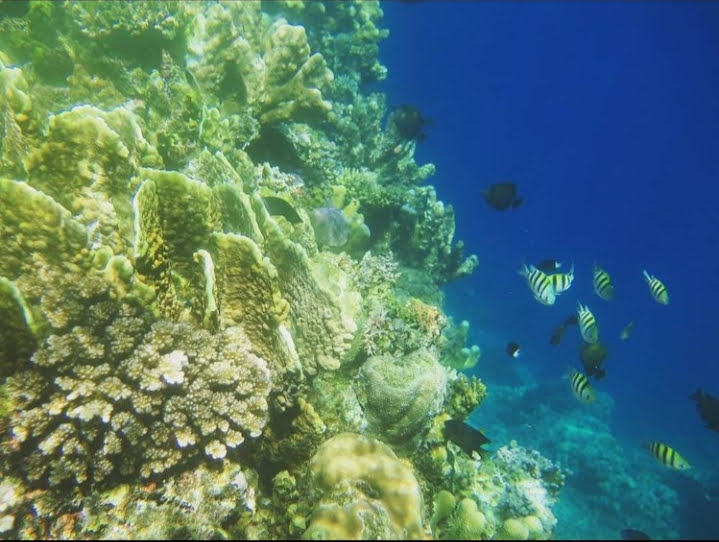 Pantai Oluhuta