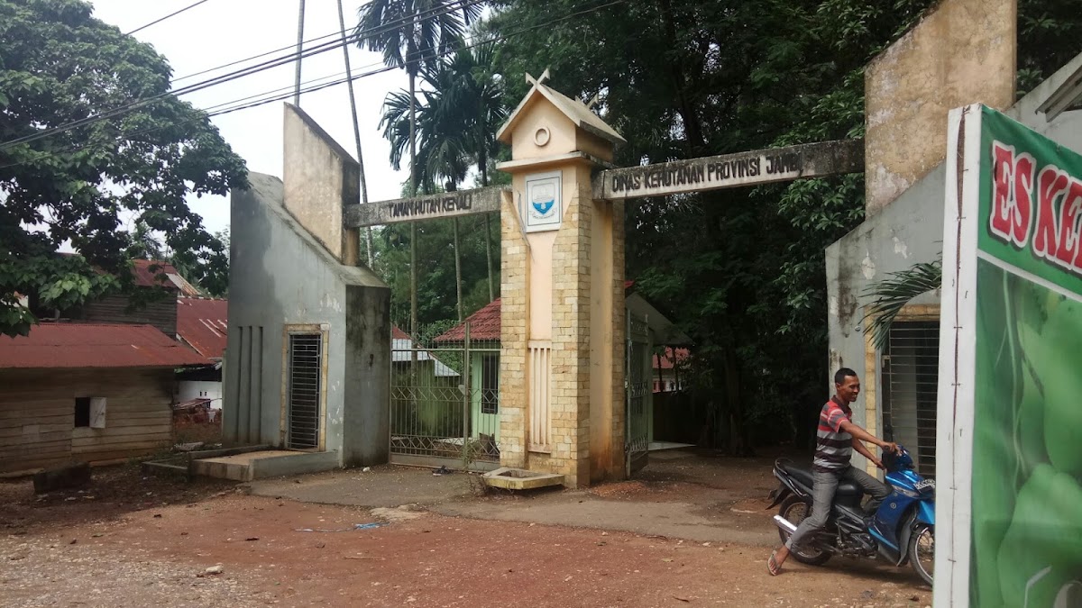 Taman Hutan Pinus PAL X, Kota Jambi
