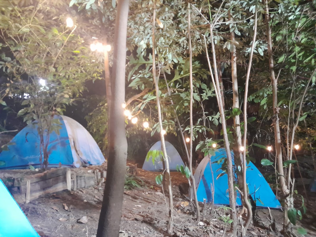 Rimbo Garden (Camping & Cafe)