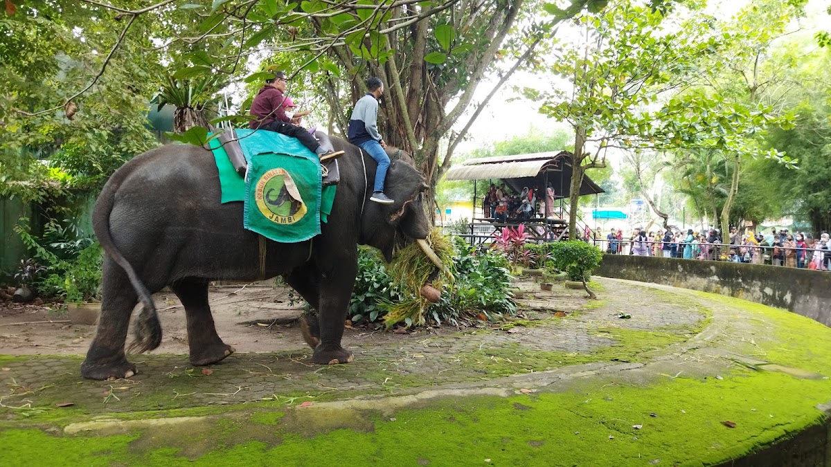 Taman Rimbo Zoo Area
